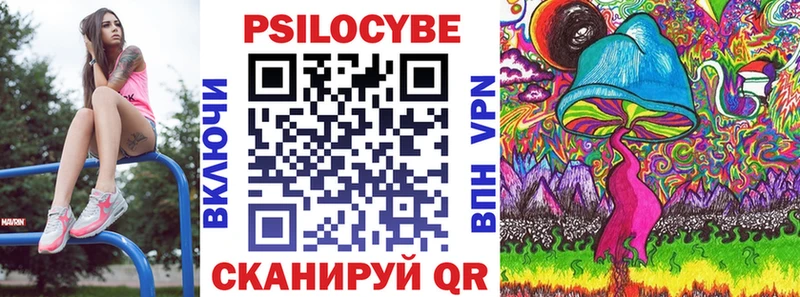 Псилоцибиновые грибы Psilocybe  Болохово 